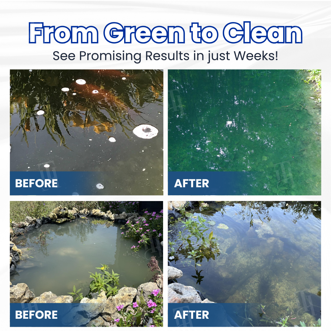 ✨ From Green to Clean Overnight! |⏱️ Crystal Clear in 24 Hours! | Juxek® Aqua-Shield Pro Formula